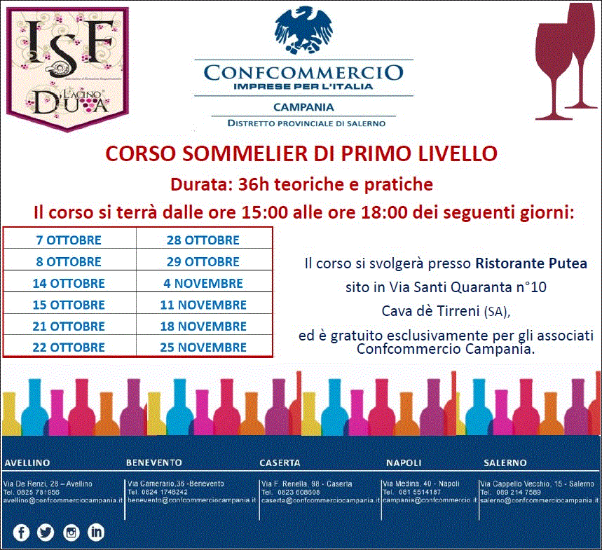 🍷 CORSO SOMMELIER DI PRIMO LIVELLO 🍷