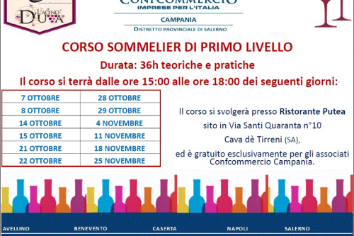 🍷 CORSO SOMMELIER DI PRIMO LIVELLO 🍷
