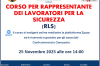 Corso on line: 𝐩𝐞𝐫 R𝗮𝗽𝗽𝗿𝗲𝘀𝗲𝗻𝘁𝗮𝗻𝘁𝗲 𝗱𝗲𝗶 L𝗮𝘃𝗼𝗿𝗮𝘁𝗼𝗿𝗶 𝗽𝗲𝗿 𝗹𝗮 S𝗶𝗰𝘂𝗿𝗲𝘇𝘇𝗮 (RLS)